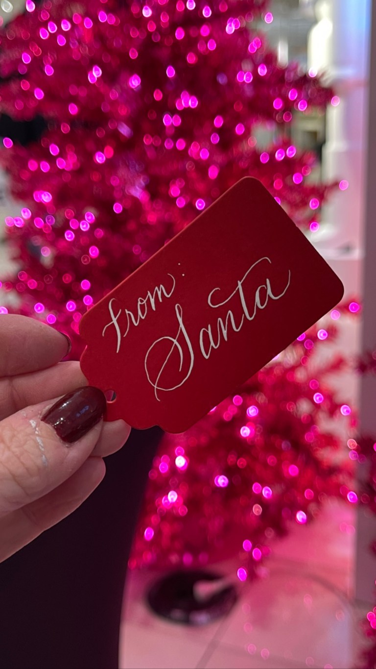 8BB617C8 48BD 403F BA06 A1BE7D9B6FC8 768x1365